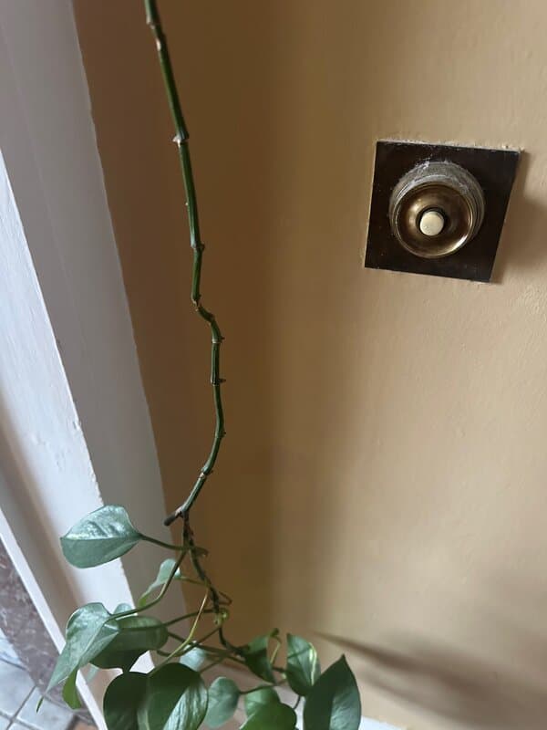 Original servant's bell system