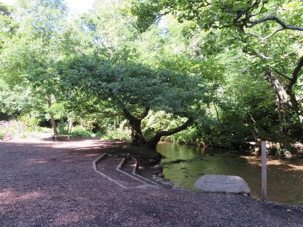 Hermitage of Braid and Blackford Hill Nature Reserve - woodland trails and wildflower meadows