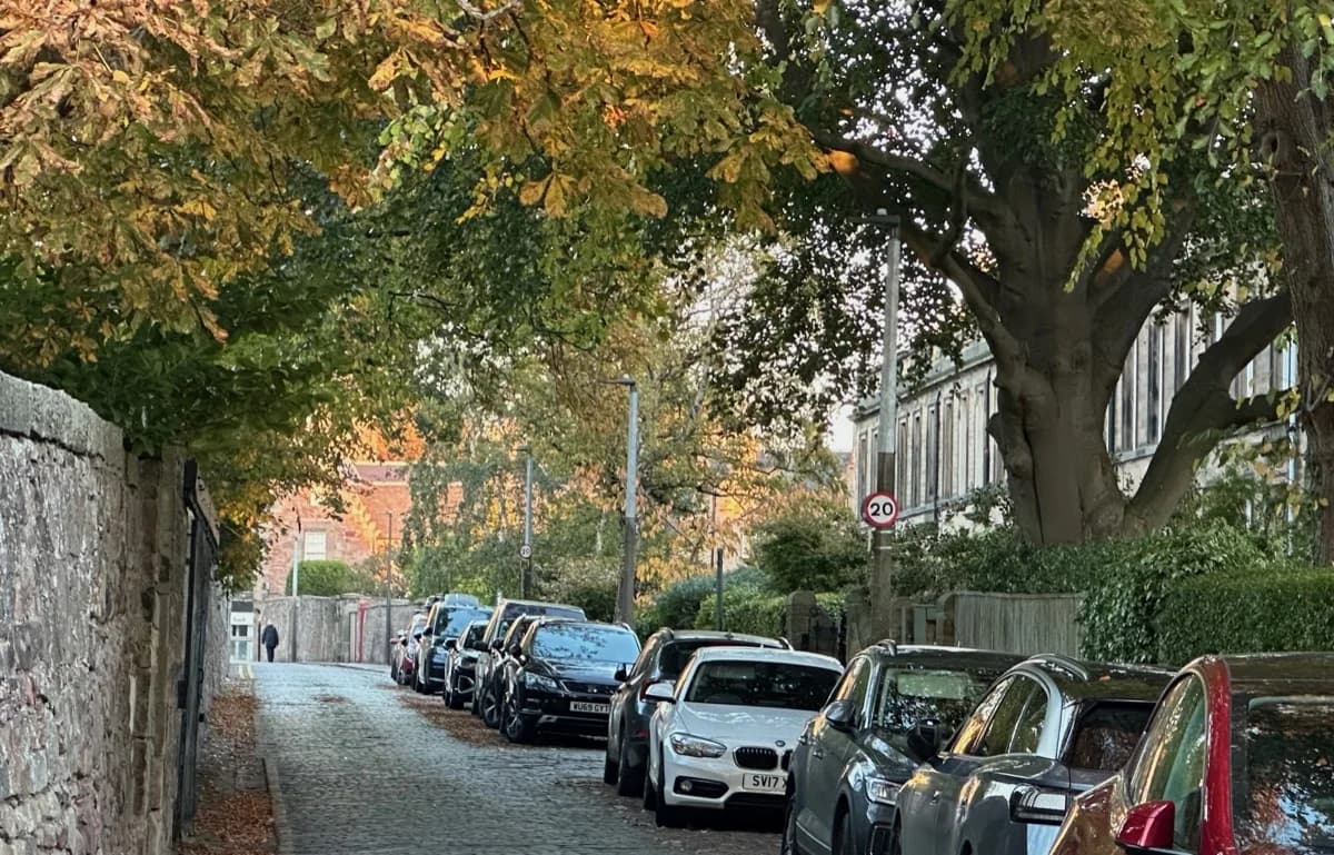Albert Terrace - a quiet residential street with mature trees and period houses